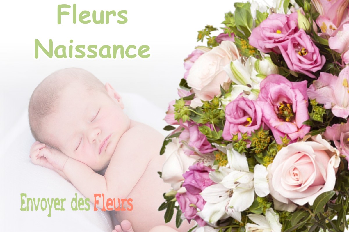 lIVRAISON FLEURS NAISSANCE à SAINT-MICHEL-DE-SAINT-GEOIRS